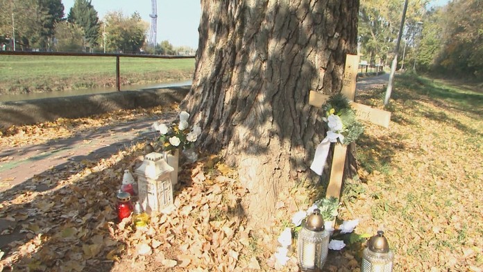 Konár zabil v Nitre chlapca