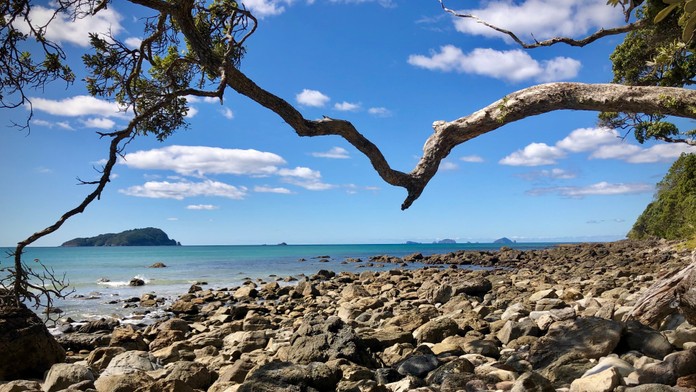 Muž sa pokúsil doplávať na Aldermanove ostrovy pri východnom pobreží Severného ostrova.