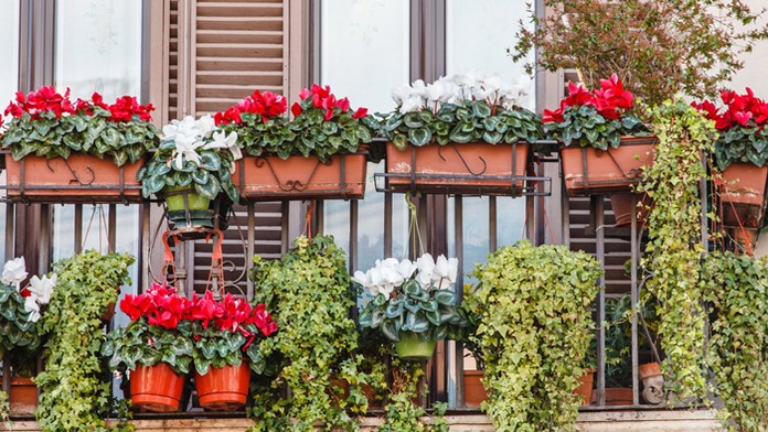 Ilustračná snímka.