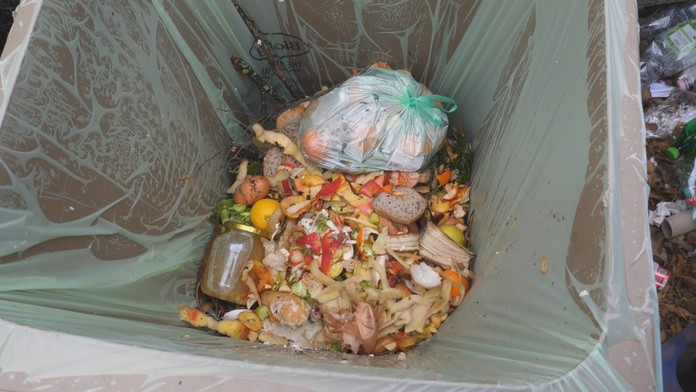 19 VK Zastreleny kon.transfer_tvnoviny.mp4