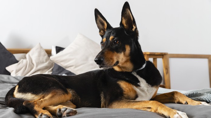 Ilustračná snímka. 