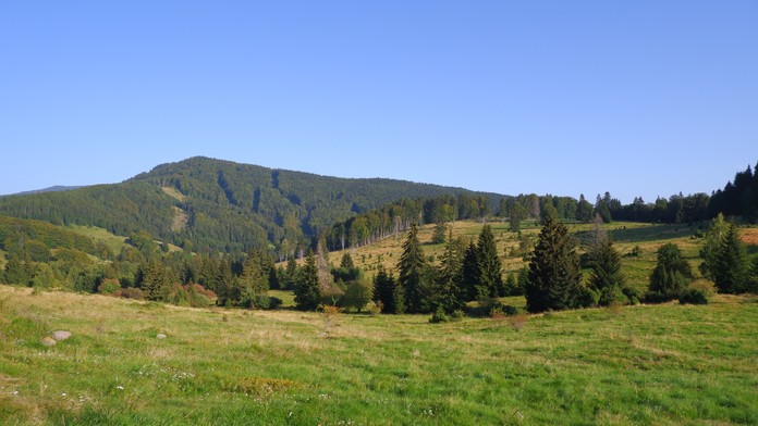 Pohľad na prírodu v Chránenej krajinnej oblasti Poľana neďaleko Chráneného areálu Dolná Zálomská 22. septembra 2020.