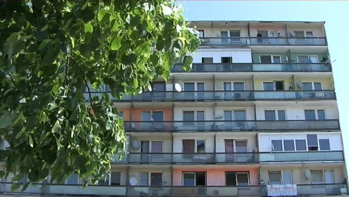 19 LV Kuriozna kradez.transferweb_jpg_bez_watermarku_1.jpg