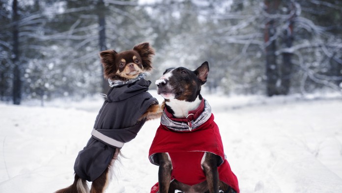 Ilustračná snímka