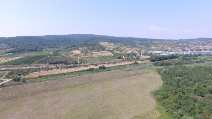 19 Selma patranie pokrweb_jpg_bez_watermarku_1.jpg