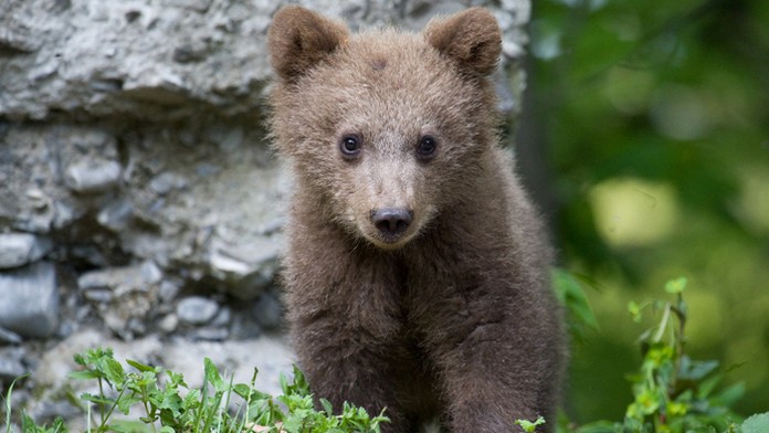 Ilustračná snímka.