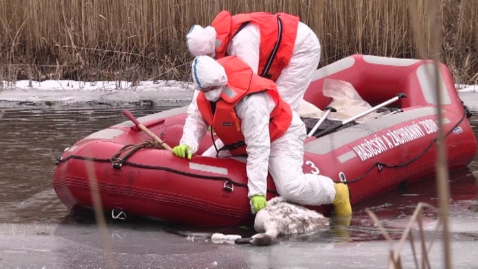 Hasiči používajú čln.