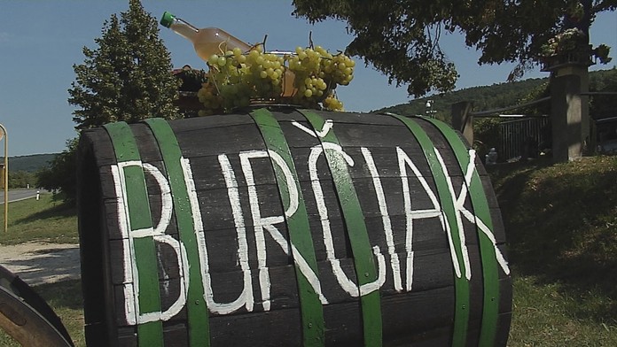 Chaos na dopravnom inšpektoráte v Nitre. Ľudia stoja v rade aj niekoľko hodín.