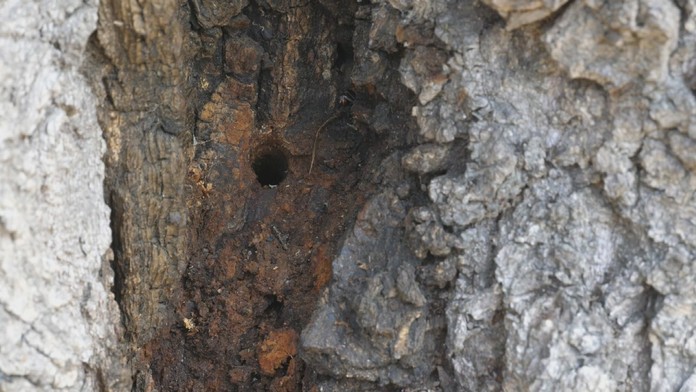 17_jedinak_tvnoviny.mp4