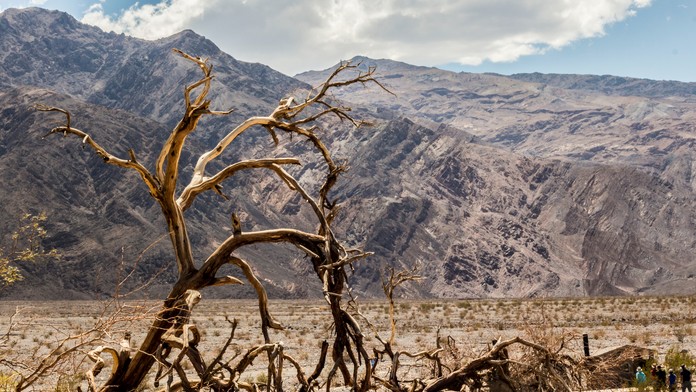 Logo nemeckého výrobcu Knorr na budove v nemeckom Heilbronne.