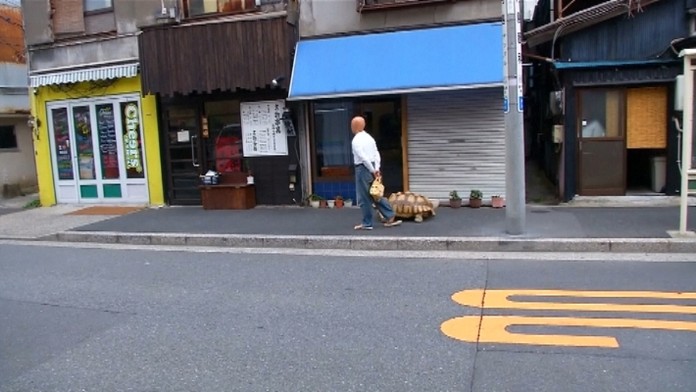 Untitled Sequence.19web_jpg_bez_watermarku_1.jpg