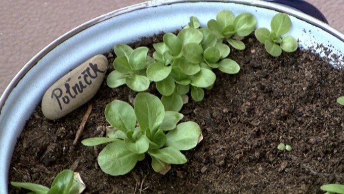 Ilustračná snímka.