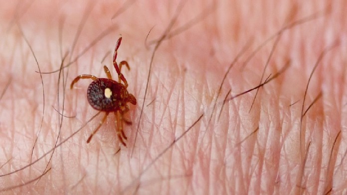 Ilustračná snímka.