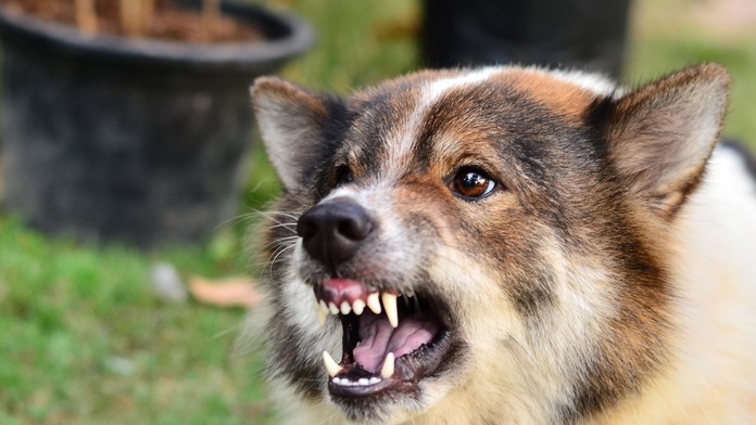 Ilustračná snímka