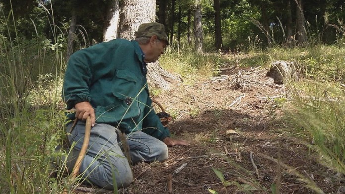 Skúsený hubár sa s nami podelil o svoje skúsenosti.