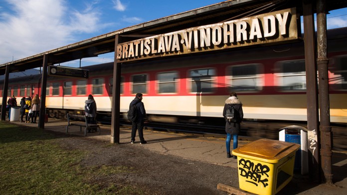 Mŕtve zvieratá pri Nitre.