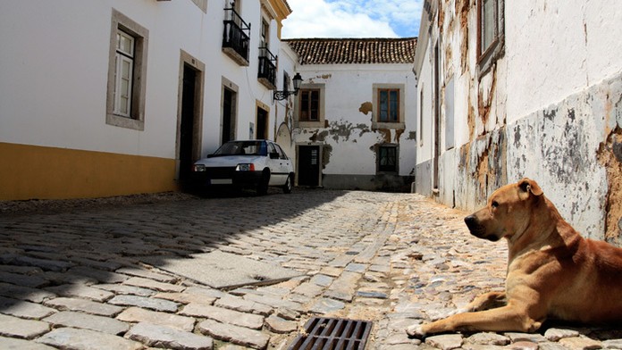 Telerano_13_01_P20_Po_06_00_.mp4