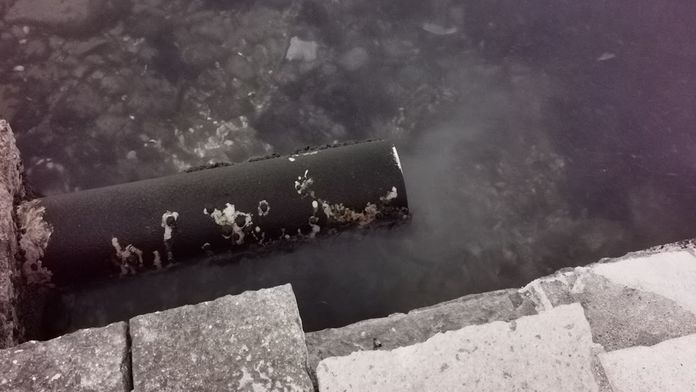 Video z Chorvátska: Keď toto turisti videli, nemali ani chuť okúpať sa v mori