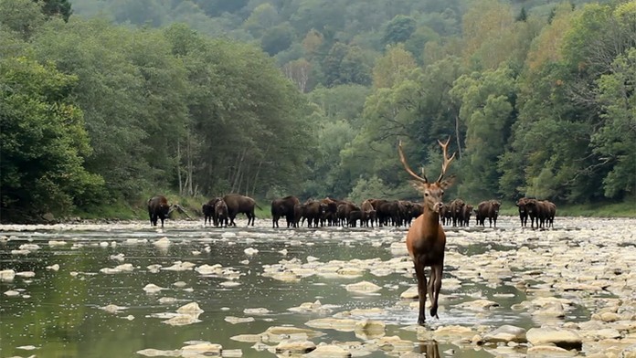 Zábery, ktoré uchvátili aj zahraničie. Slováci ani netušia, aké poklady tu máme