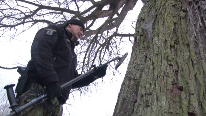 Strom skúmal aj odborník.