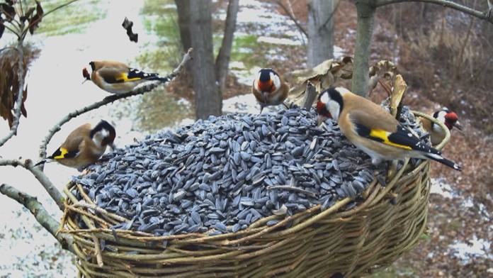 Ilustračná snímka.