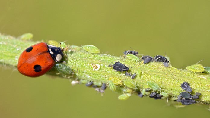 Ilustračná snímka.