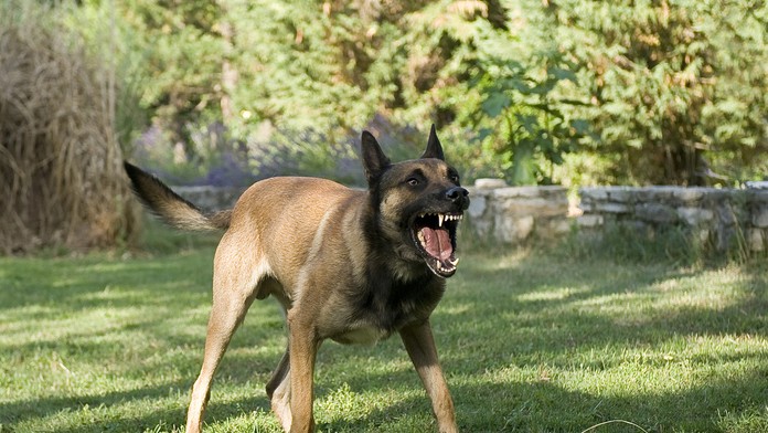 Ilustračná snímka