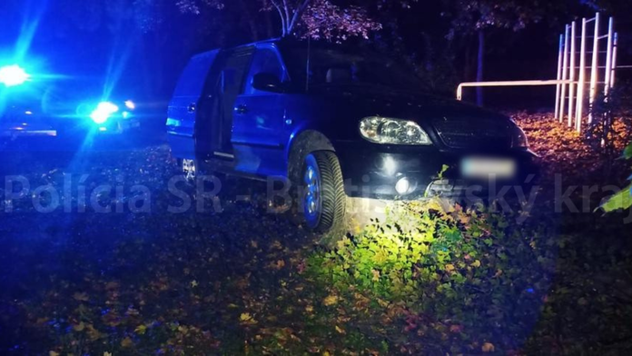 Policajnú naháňačku zastavil v Čunove strom. Po jednom z pasažierov vyhlásili pátranie