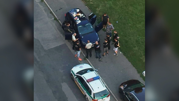 Zlodeji a díleri drog na videu