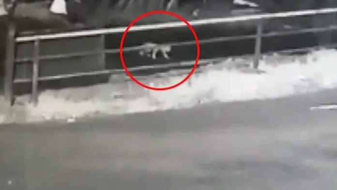 Hráči AS Trenčín v dresoch k výročiu SNP.