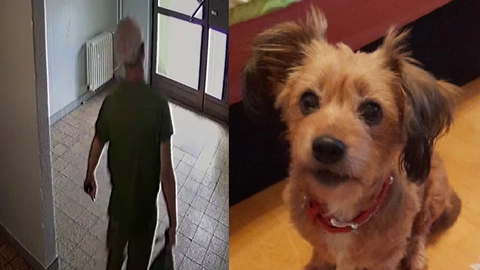 Pre nezhody s exmanželkou jej zabil psa sekerou. Mužovi za krutý čin hrozí trojročné väzenie