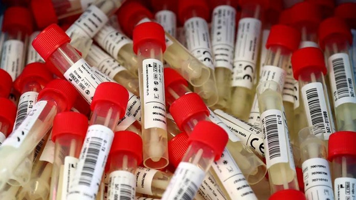 Barborine nové tetovane