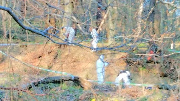 V lese pri Levoči našli zastreleného dôchodcu