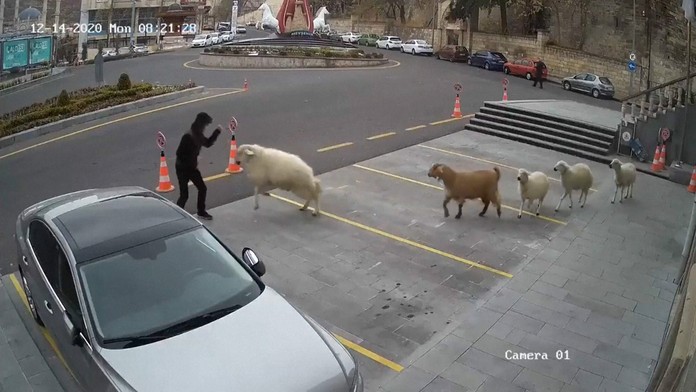 Hasiči vyťahujú z rieky auto, v ktorom zahynulo sedem ľudí.