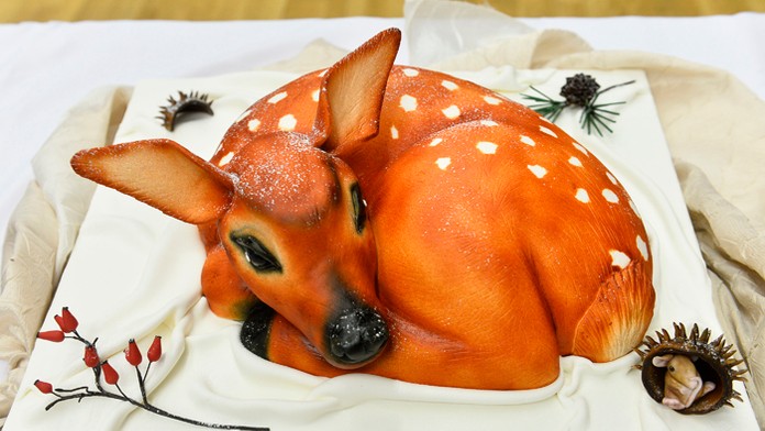 Najkrajšia torta na Slovensku.