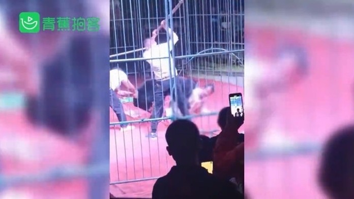 Nehoda medzi Čachticami a Novým Mestom nad Váhom.