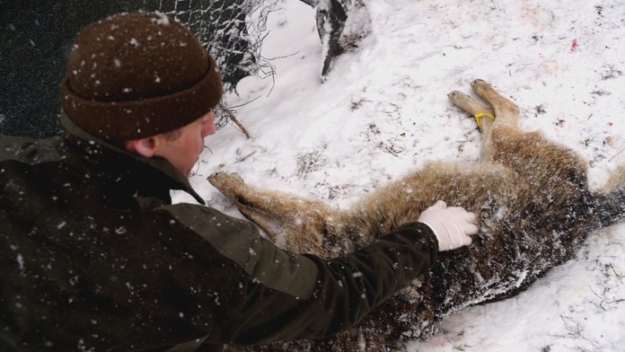 19 nebojacny skonal_tvnoviny.mp4