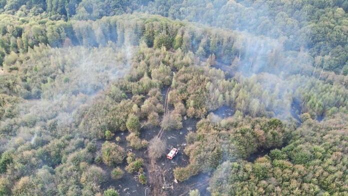 Požiar v lesoch nad bratislavskou Račou sa podarilo uhasiť