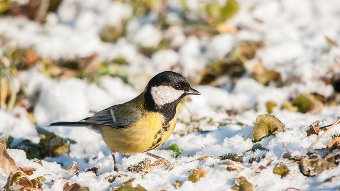 Výročie holokaustu