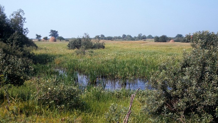 Vedci na základe DNA analýzy určili, kde leží pravlasť Slovanov. Východnú Európu osídlili mierumilovným spôsobom