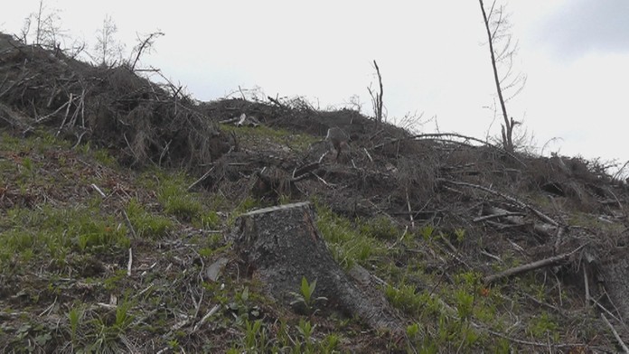 Ilustračná snímka.