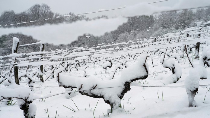V sobotu večer by malo nasnežiť aj v Bratislave. Prečítajte si, kedy začne a koľko snehu napadne