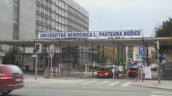 Kontajnerové medvede.