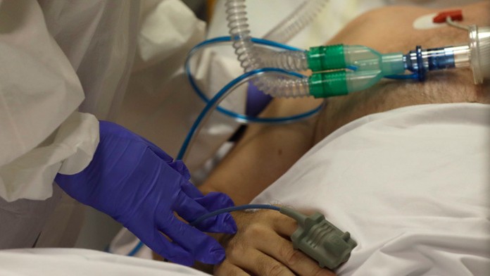 Slony medzi odpadkami na Srí Lanke