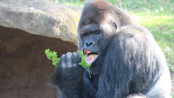 Zoznam okresov, v ktorých 30.9. odhalili COVID-19.