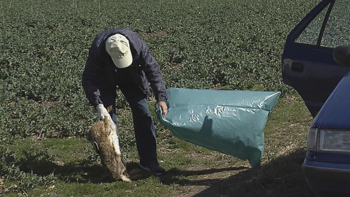 dv 17_19 konflikt_markiza_sk_bez_loga.mp4