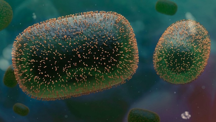 V Česku potvrdili druhý prípad opičích kiahní, ďalšie tri osoby majú príznaky