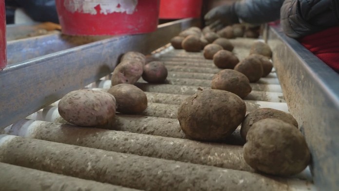 Ilustračná snímka.