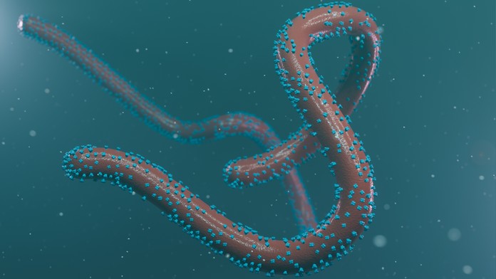 V Afrike sa začal šíriť vírus, ktorý má 88-percentnú úmrtnosť. Infektológ P. Sabaka vysvetlil, či sa máme obávať