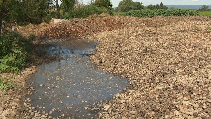 Vysoká škola v Skalici